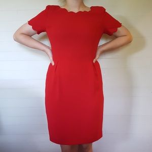 Maggy London Sheath Scalloped Red dress size 6